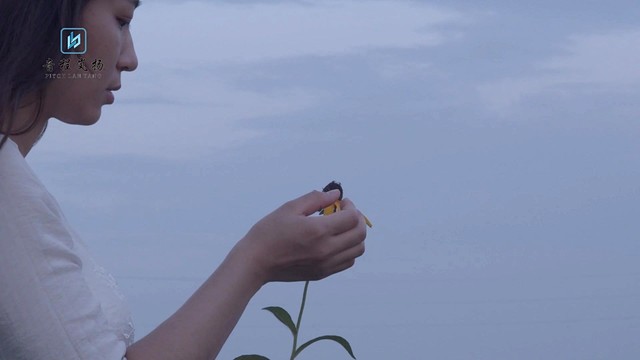 梦静美 - 不爱我为何要骗我