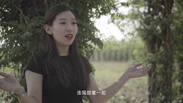 郭桂君 - 最后一次哭泣