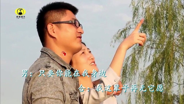 郭康成 - 惊鸿一见