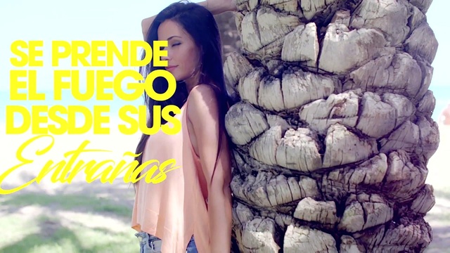 Samuray - Enamorado De Ti (Lyric Video)