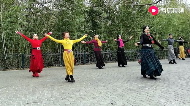 广场舞 - 紫竹院《你是我的玫瑰花20191215》广场舞,紫竹的鲜花你们最可爱 (广场舞)