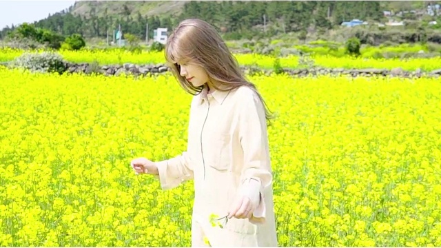 挪威森林 - 내가 고마워 (预告版)