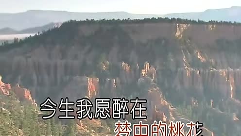 守望 - 桃花 (KTV版)