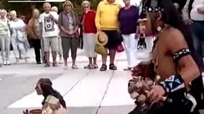 网络歌手 - 最后的莫西干人 (饭拍版)