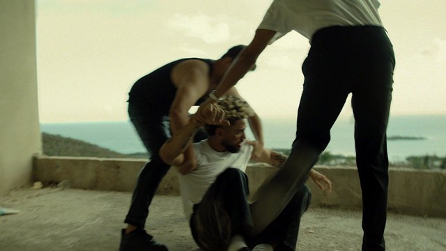 Paradize - Lbs de Weed