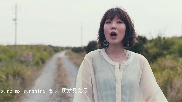 fox capture plan - やけにSUNSHINE