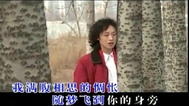 谢军 - 相思 (KTV版)