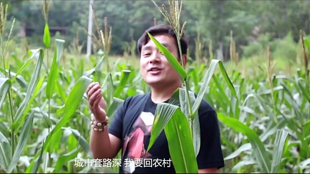 常笑 - 我要回农村