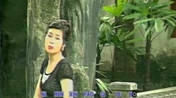 林淑娟 - 不要抛弃我 (KTV版)