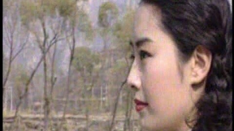 龙飘飘 - 弥渡山歌 (KTV版)