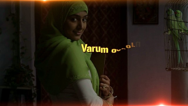 Sabesh-Murali - Alagu Mugam Malarnthu (歌词版)