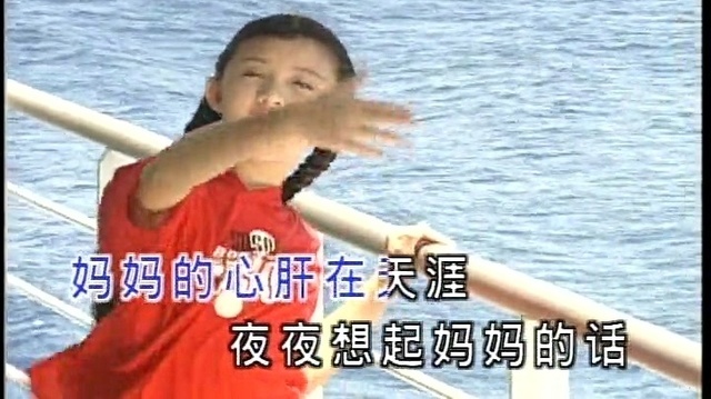 王雪晶 - 鲁冰花 (KTV版)