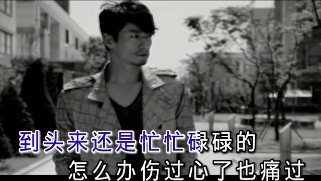 王龙 - 孤单回忆 (KTV版)