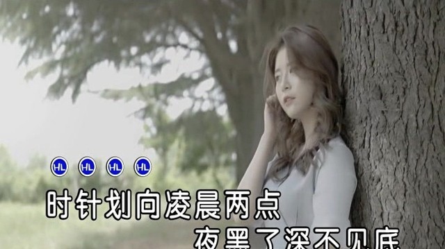 书岩 - 在深夜里哭泣 (KTV版)