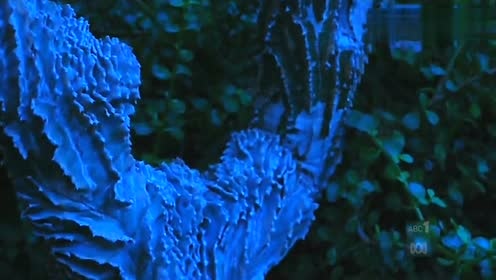 Gold Panda - Snow And Taxis