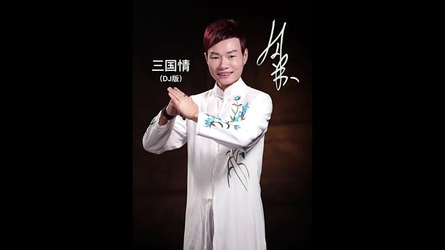 刘乐洪 - 三国情 (DJ版)