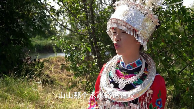 郎悦暄 - 桐茶花儿开