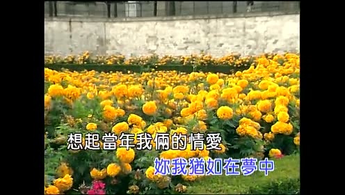 林松义 - 往日的旧梦 (KTV版)