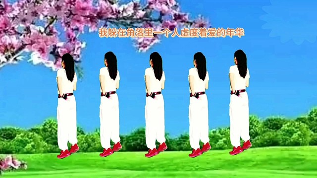 广场舞 - 广场舞《后海酒吧》夜深时候我来到酒吧遇到了美丽的她，背面演示 (广场舞)