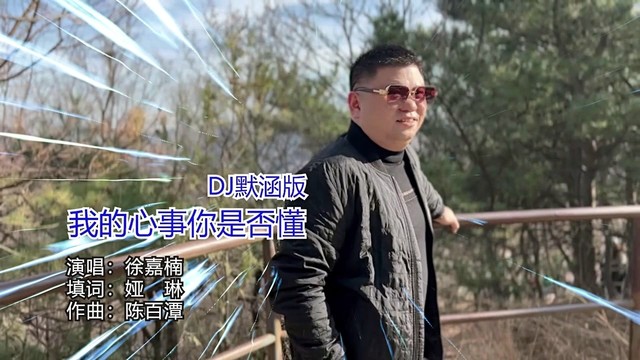 徐嘉楠 - 我的心事你是否懂  (DJ默涵版)