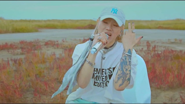 HANSE - Public Enemy (Live)