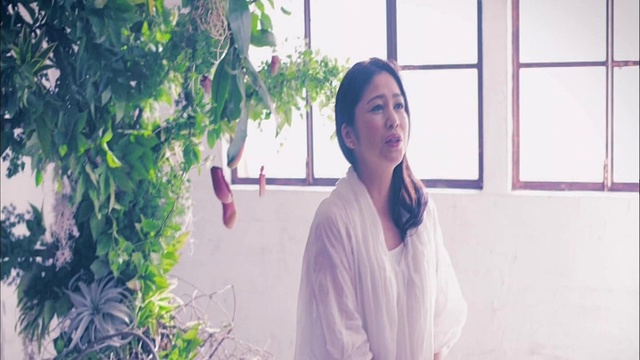 夏川里美 - あしたの子守唄