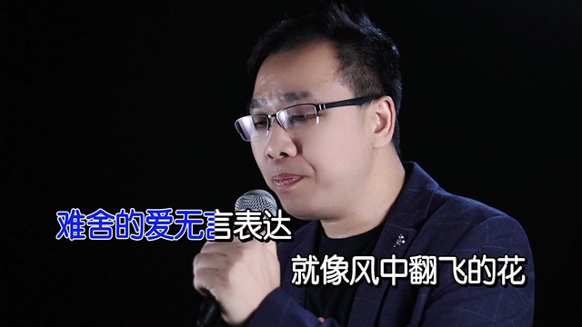 赵辉 - 别离情歌