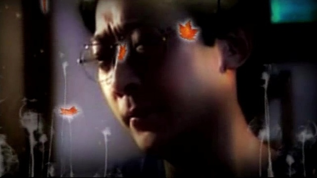 鬼畜视频 - 【新葛平】烟花易冷【UTAU】 (饭制版)