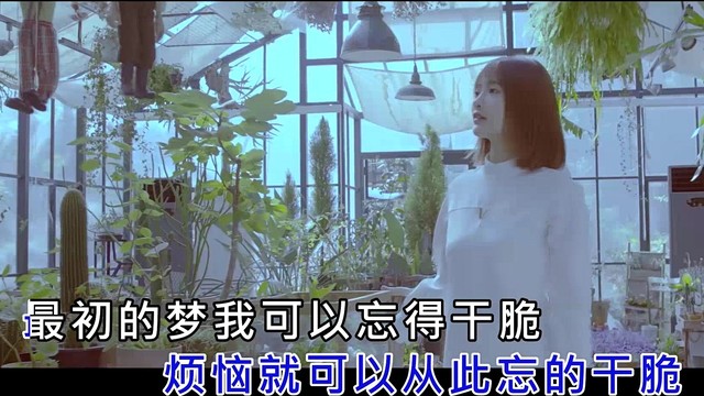 秋心 - 余生不伤悲