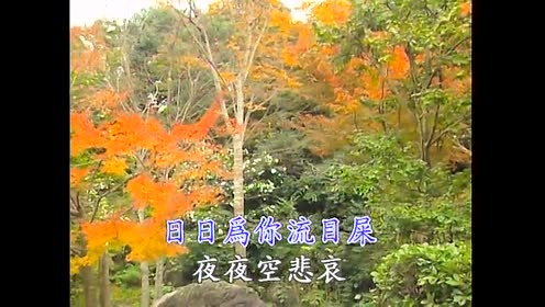 蓝萍 - 为着你 (KTV版)