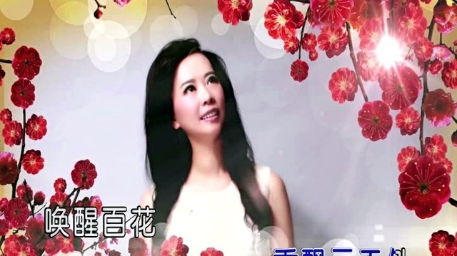 张曼 - 红梅赞 (KTV版)