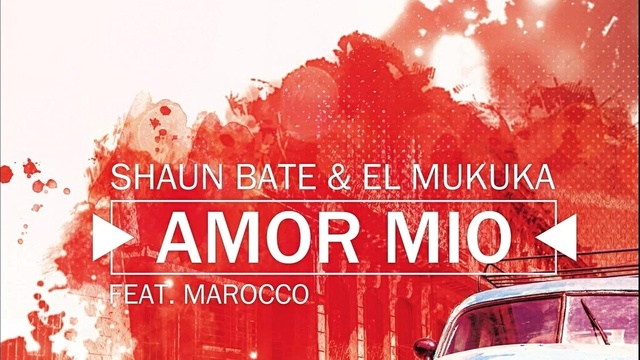 Shaun Bate - Amor Mio (Pseudo Video) (音频版)