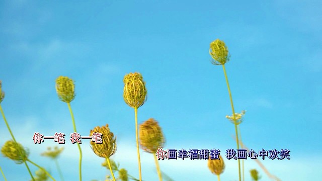 冯小燕 - 五十六种颜色 (KTV版)