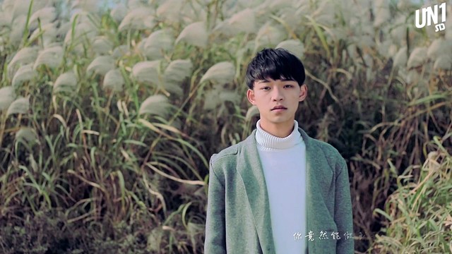 谭联耀 - 像风一样