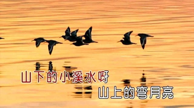 谢容儿 - 弯月亮 (KTV版)