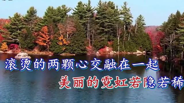 橘子 - 一生痴情只为你 (KTV版)