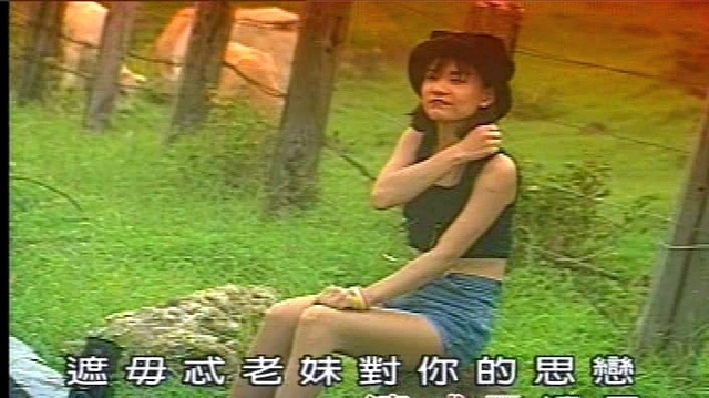 魏海珊 - 蛾眉月 (KTV版)