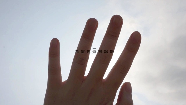 蒋卓嘉 - 希望你会记得 (歌词版)