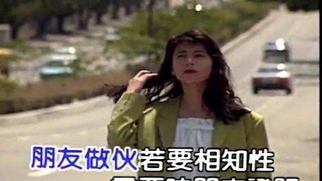 白冰冰 - 日久见人心(台) (KTV版)