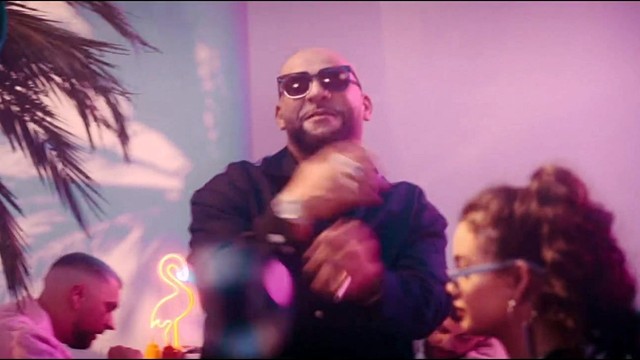 Veysel - PELICAN FLY