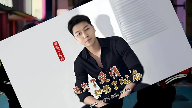 七匹狼 - 迷失了爱情却伤了心扉 (DJ版)