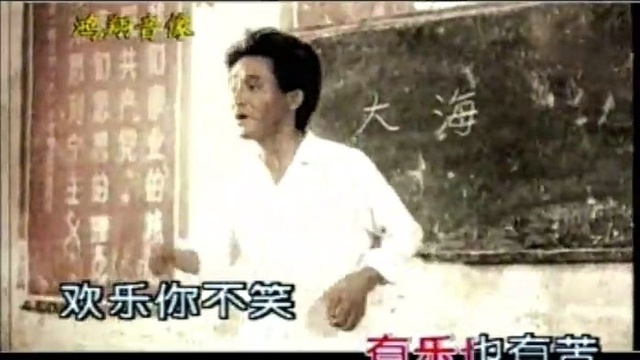 田震 - 好大一棵树 (KTV版)