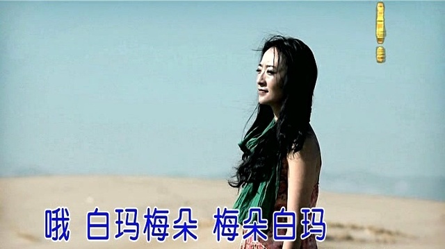 达杰丁增 - 白玛梅朵 (KTV版)