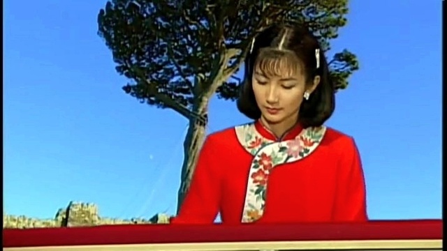 陈少华 - 九九女儿红 双电子琴版