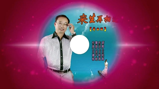 王桂海 - 来生再相逢
