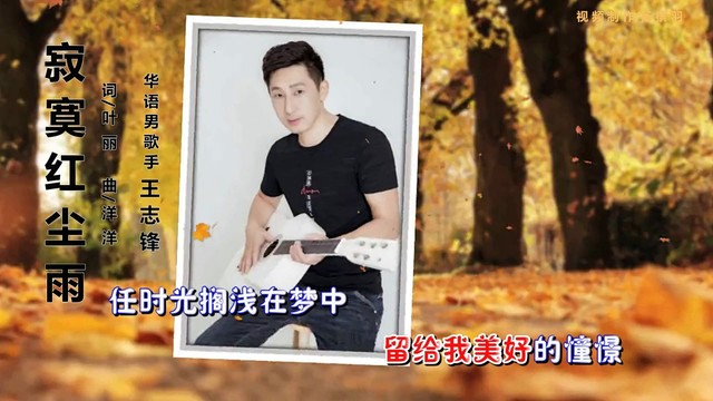 王志锋 - 寂寞红尘雨 (KTV版)
