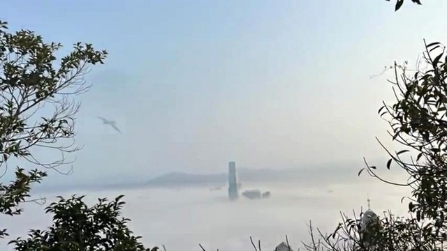 曾路得 - 天各一方