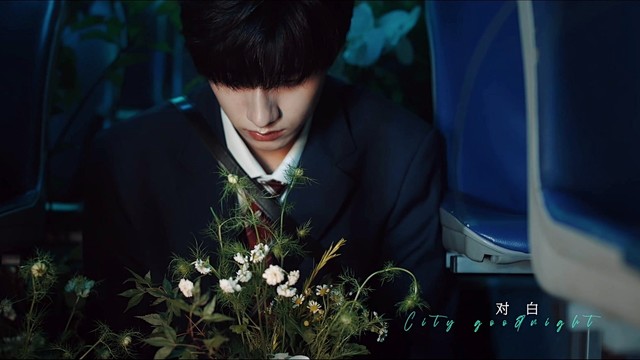 TF家族 - City Goodnight (城市晚安)