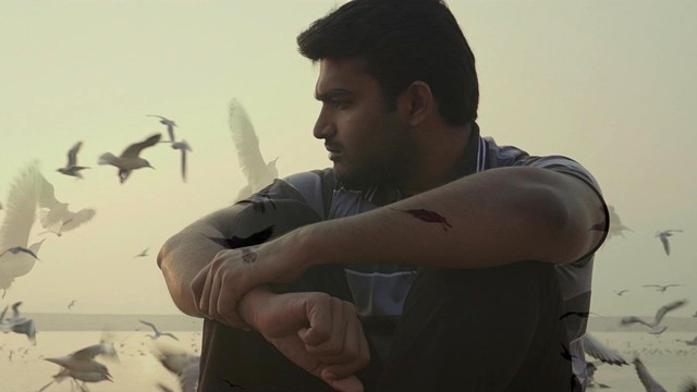 Jay Krish - Pain Song