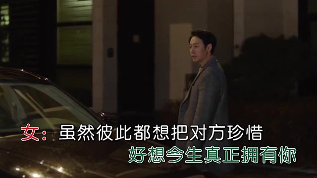 映雪寒梅 - 无奈的情殇(对唱版)